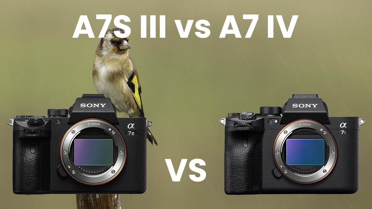 Sony A7SIII vs A7IV
