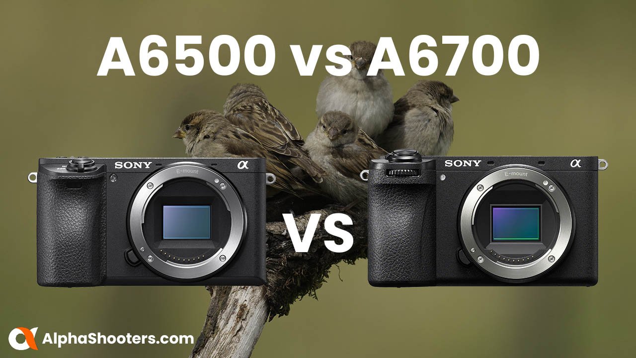 Sony A6500 vs A6700