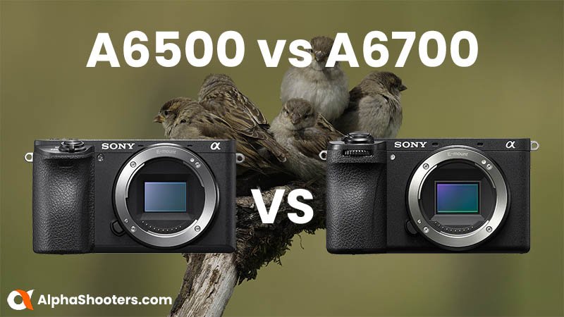Sony a6700 vs Sony a6600