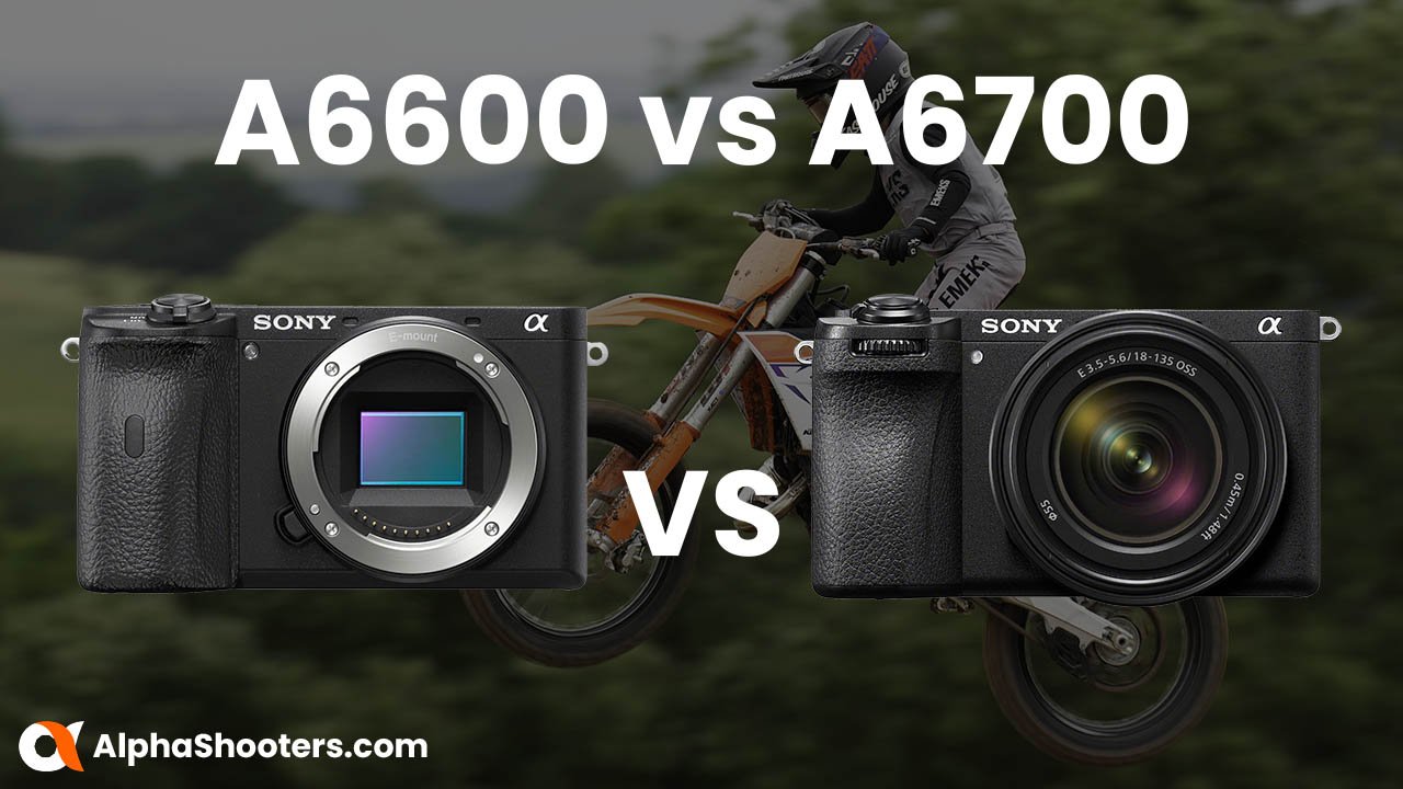 Sony A6600 vs A6700