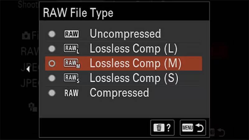 Sony A7C II RAW File Types