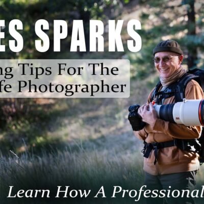 Moses Sparks How To Pack Your Gear for Travel as a Wildlife Photographer