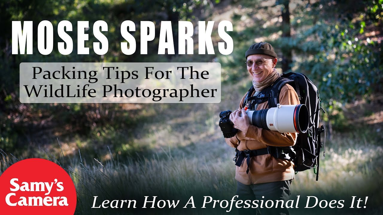 Moses Sparks How To Pack Your Gear for Travel as a Wildlife Photographer