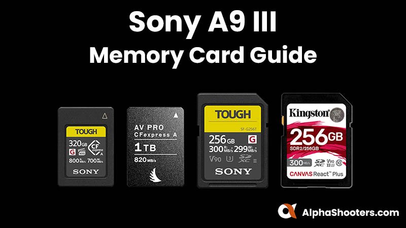 Best Sony A9III Memory Cards
