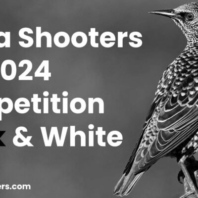 Alpha Shooters Feb 2024 Competition Black & White