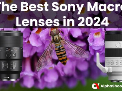 The Best Sony Macro Lenses in 2024