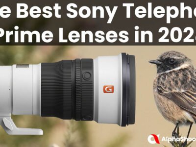 The Best Sony Telephoto Prime Lenses in 2024