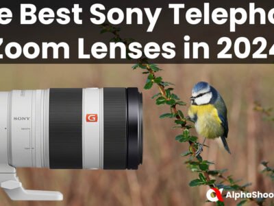 The Best Sony E-mount Telephoto Zoom Lenses in 2024