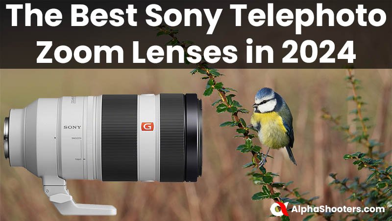 The Best Sony E-mount Telephoto Zoom Lenses in 2024