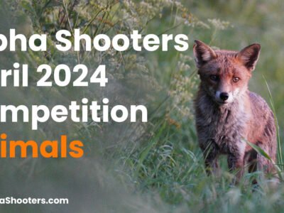 Alpha Shooters April 2024 Competition - Animals