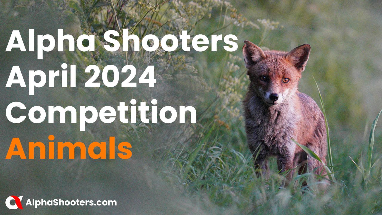 Alpha Shooters April 2024 Competition - Animals