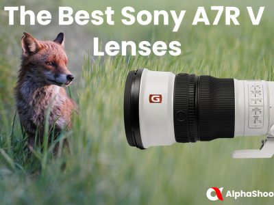 The Best Sony A7RV Lenses in 2024