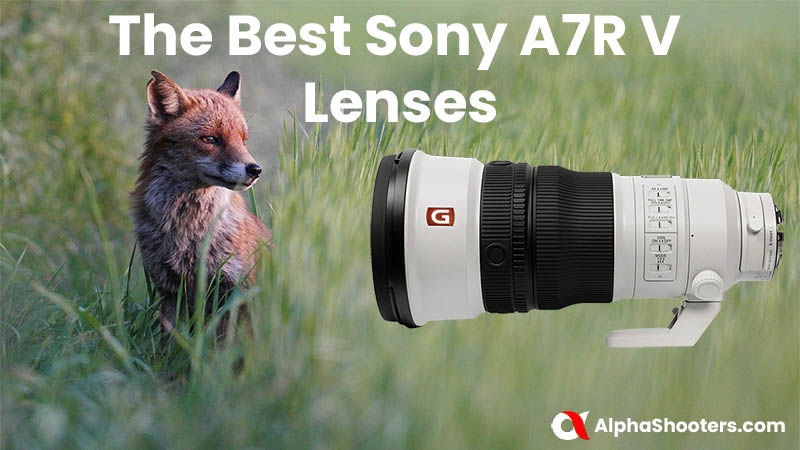 The Best Sony A7RV Lenses in 2024