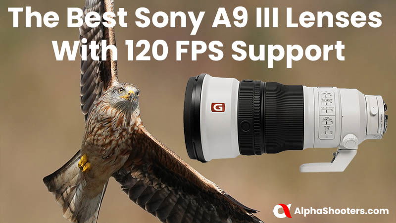 The Best Sony A9III Lenses With 120 FPS Support