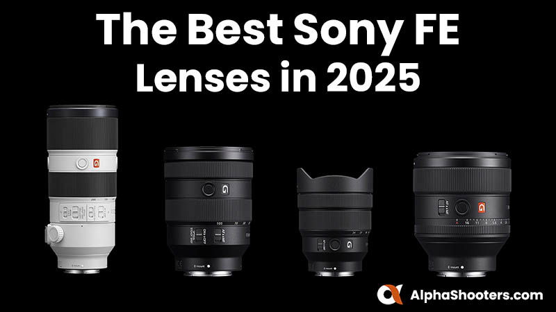 The 16 Best Sony FE Lenses in 2025