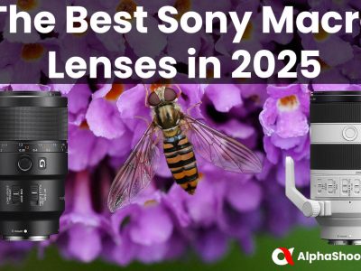 The Best Sony Macro Lenses in 2025