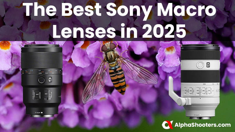 The Best Sony Macro Lenses in 2025