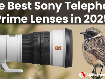 The Best Sony Telephoto Prime Lenses in 2025