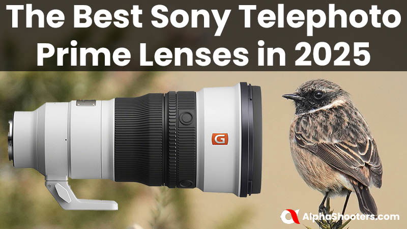 The Best Sony Telephoto Prime Lenses in 2025