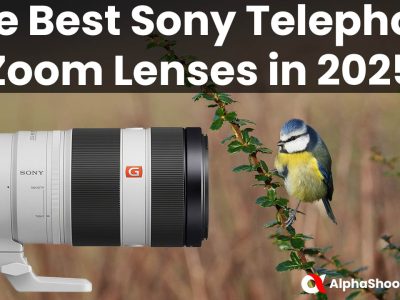 The Best Sony E-mount Telephoto Zoom Lenses in 2025