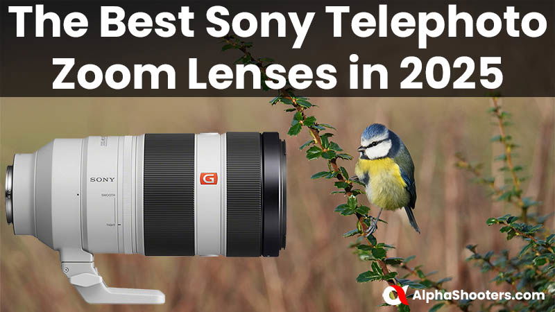 The Best Sony E-mount Telephoto Zoom Lenses in 2025