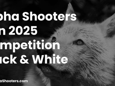 Alpha Shooters January 2025 Competition - Black & White