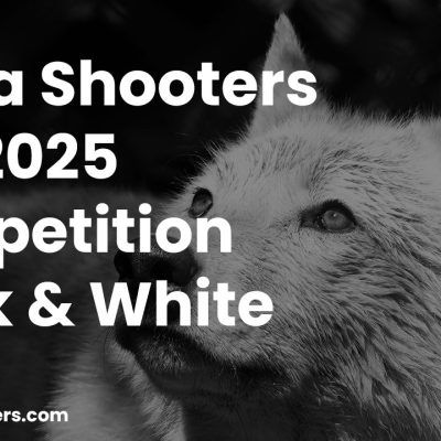 Alpha Shooters January 2025 Competition - Black & White