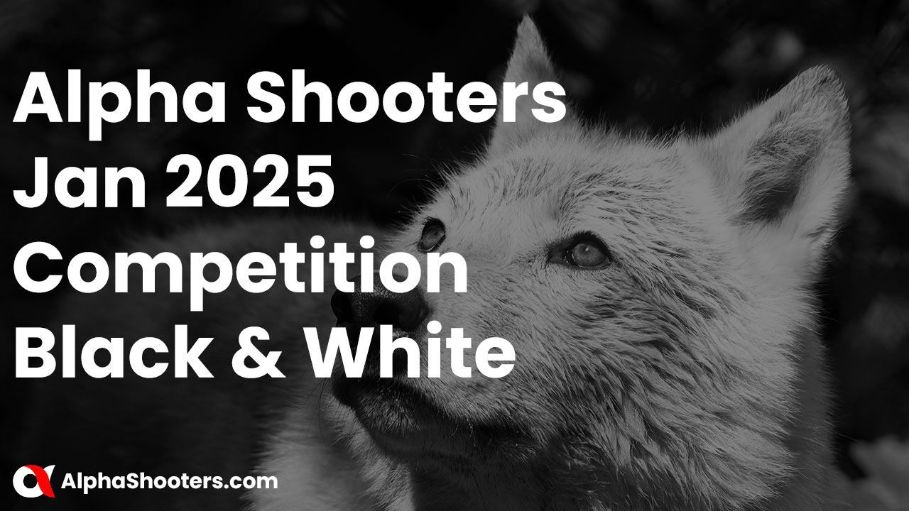 Alpha Shooters January 2025 Competition - Black & White