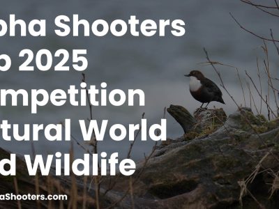 Alpha Shooters February 2025 Competition - Natural World and Wildlife