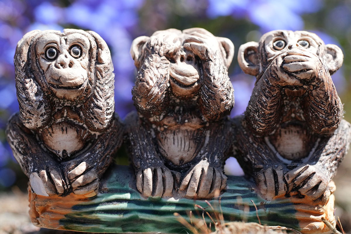 3 Wise Monkeys shot with Sony FE 70-200mm F4 Macro G OSS Ⅱ Lens