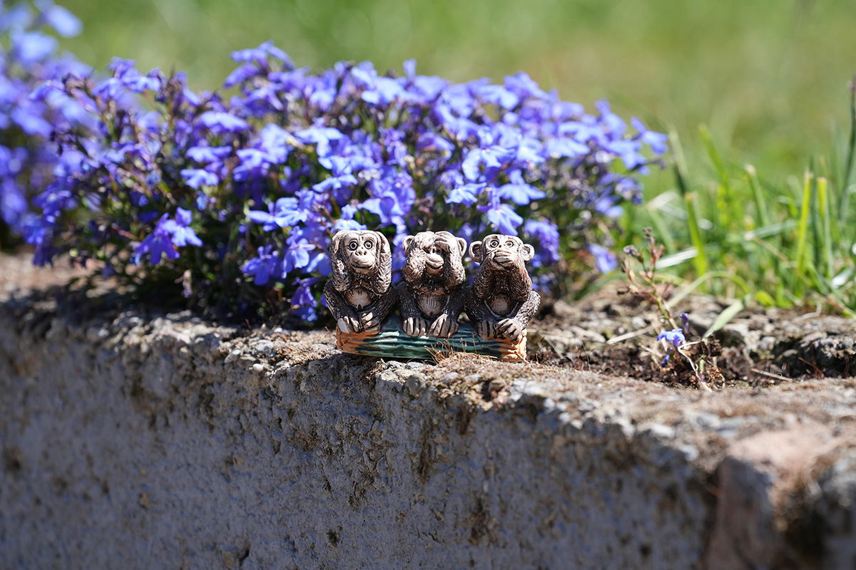 3 Wise Monkeys shot with Sony FE 70-200mm F4 G Lens
