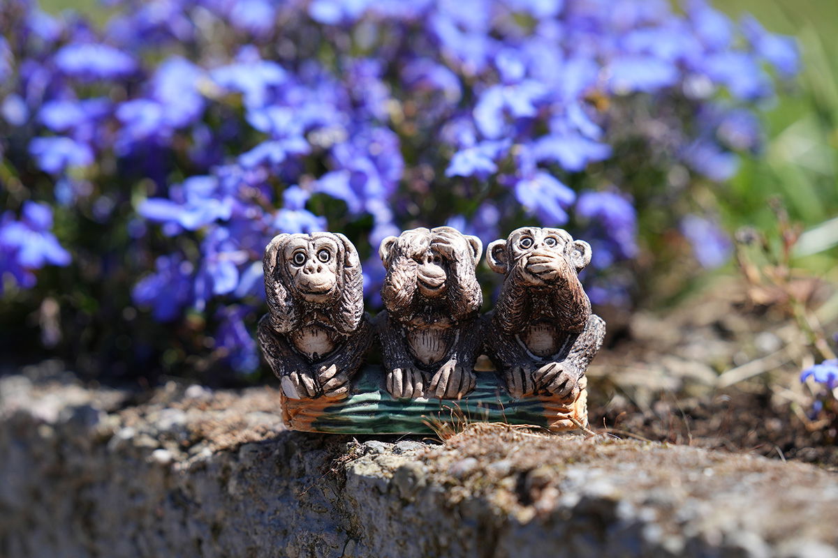 3 Wise Monkeys shot with the Sony FE 70-200 F2.8 GM lens