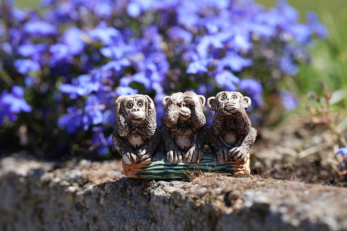 3 Wise Monkeys shot with the Sony FE 70-200 F2.8 GM II lens