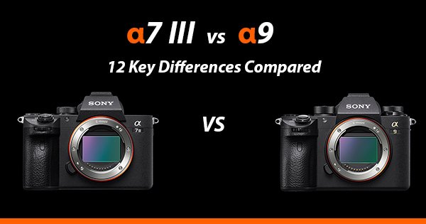 Sony a7III vs a9 - 12 Key Compared - AlphaShooters.com